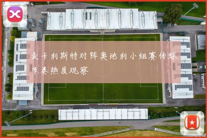 麦卡利斯特对阵奥地利小组赛传球节奏热度观察
