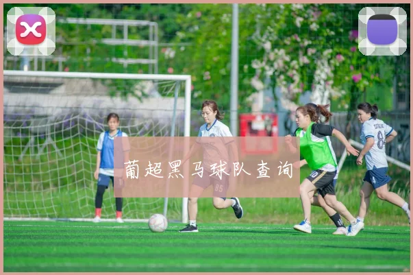 葡超黑马球队查询