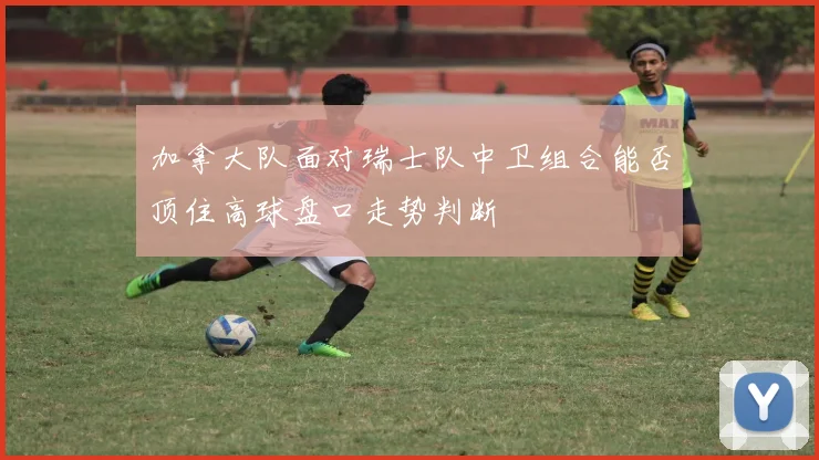 加拿大队面对瑞士队中卫组合能否顶住高球盘口走势判断