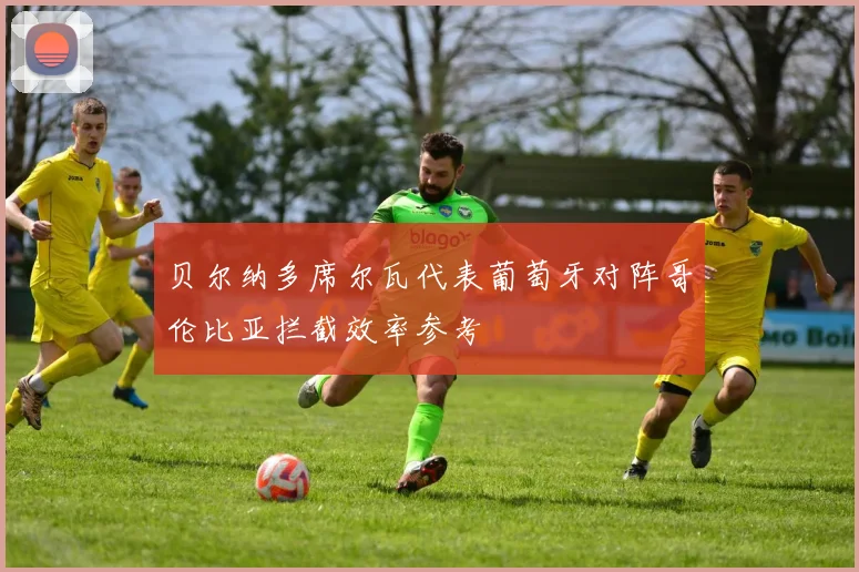 贝尔纳多席尔瓦代表葡萄牙对阵哥伦比亚拦截效率参考
