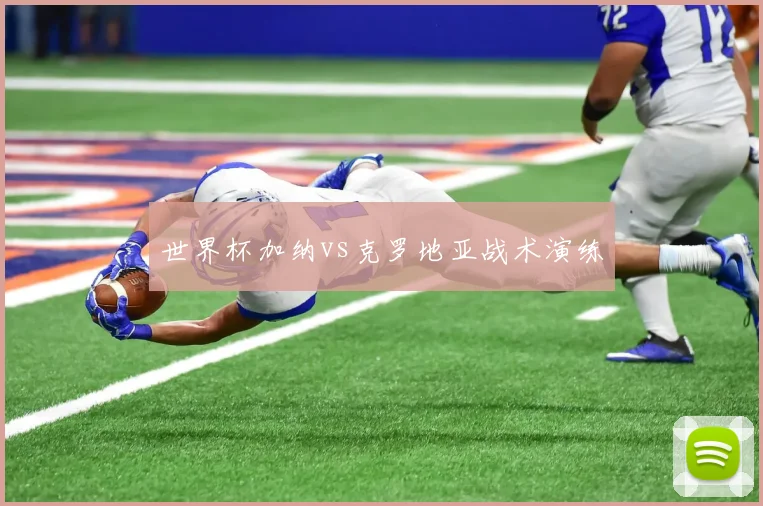 世界杯加纳vs克罗地亚战术演练
