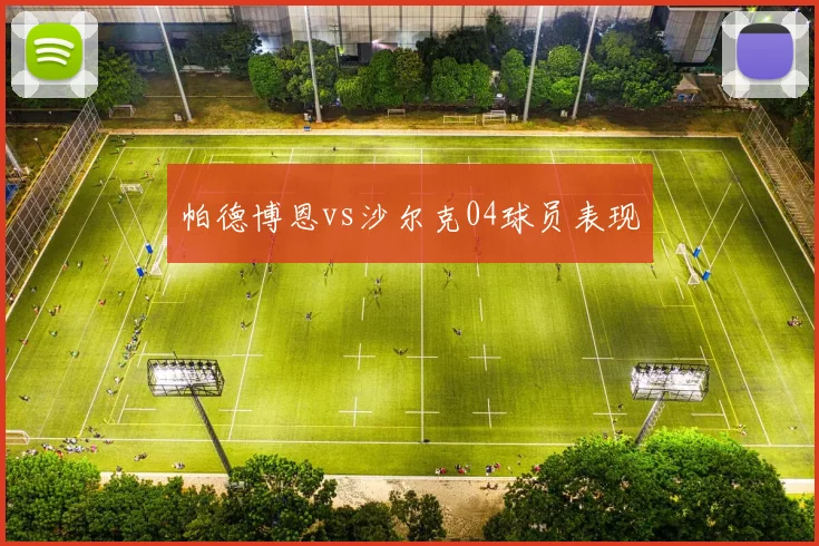 帕德博恩vs沙尔克04球员表现