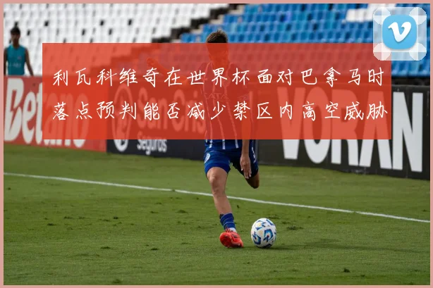 利瓦科维奇在世界杯面对巴拿马时落点预判能否减少禁区内高空威胁