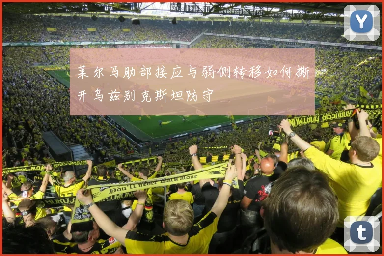 莱尔马肋部接应与弱侧转移如何撕开乌兹别克斯坦防守